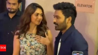 Mununal Tagore rompe su silencio con los rumores de salir con Dhanush: “Solo un buen amigo”. Noticias de la película hindi