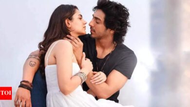 Colección de películas de flores de Saisa: ‘Sayara’ Día de la taquilla 25: Star Star Star Star de Ahara Pandey y Ant Pada en mucho tiempo, sin embargo, Rs 320 millones de rupias, pero el lunes, el hijo de ‘Sorda 2’ y ‘Dhadak 2’ Beats |