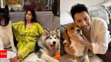 Janahvi Kapoor y Varun Dhawan hablaron contra la orden de la Corte Suprema de eliminar a los perros callejeros de las carreteras de Delhi. Noticias de la película hindi