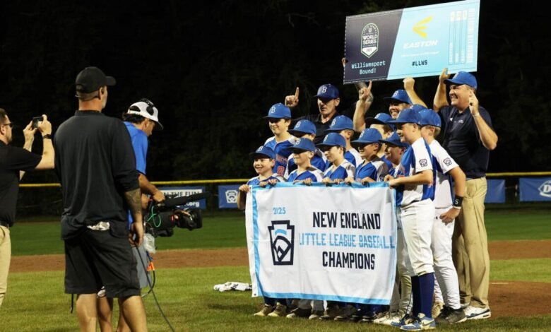 Lige League World Series 2025: Marco, resultados, puntajes, horarios, equipos y más Lige League World Series 2025: Marco, resultados, puntajes, horarios, equipos y más