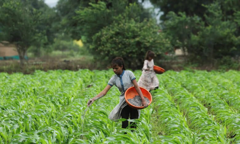 El primer ministro Modi dijo que las 100 zonas agrícolas que son más bajas de las elevadas para que coincidan con otras regiones de la agricultura. El primer ministro Modi dijo que las 100 zonas agrícolas que son más bajas de las elevadas para que coincidan con otras regiones de la agricultura.