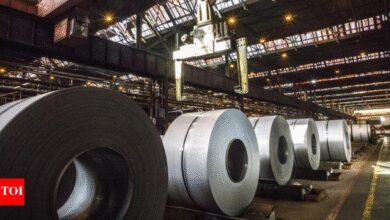 Página de protección de acero: DGTR después de una colección de 3 años sobre la importación de acero, separar grupos industriales