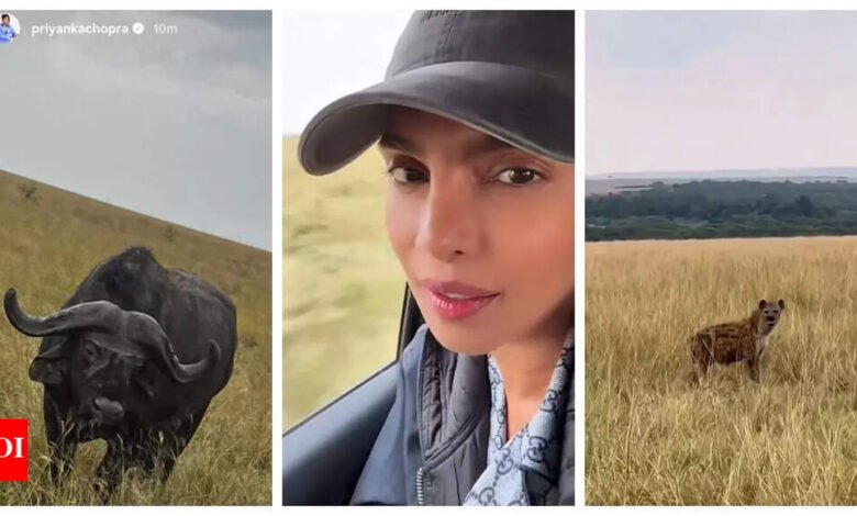 Priyanka Chopra toca Nairobi para SSMB 29 con Mahesh Babu y SS Rajamouli; Shared de video de su safari – reloj | Priyanka Chopra toca Nairobi para SSMB 29 con Mahesh Babu y SS Rajamouli; Shared de video de su safari – reloj |