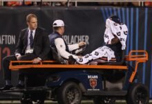Los osos pierden a Terell Smith por temporada con una lesión en la rodilla