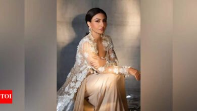 Debemos desempeñar el modelo a seguir y, por supuesto, con la responsabilidad: la actriz Soha Ali Khan en las actividades de las redes sociales de los actores. Noticias de la película hindi