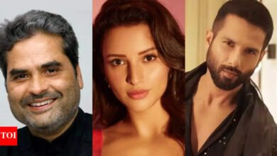 Poco después de Shahid Kapoor y Tripti Dimri eliminan su próxima película; Informes de chispa en una gran escena de acción: Deets adentro | Noticias de la película hindi