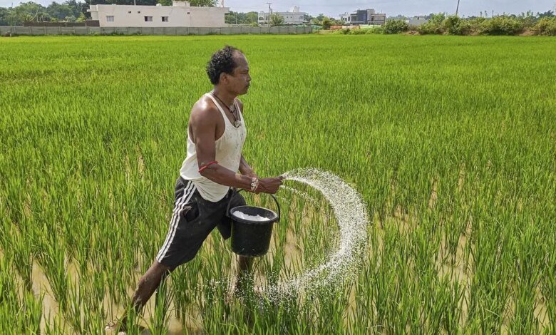 El suministro de fertilizantes durante la temporada en curso de Kharif se siente cómodo, dice el gobierno El suministro de fertilizantes durante la temporada en curso de Kharif se siente cómodo, dice el gobierno