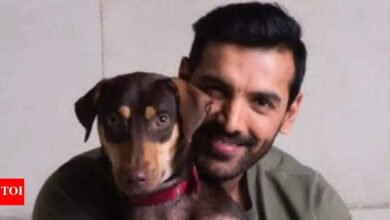 La Corte Suprema corrige la decisión del perro equivocado en Delhi; John Abraham respondió: ‘Estoy agradecido …’ | Noticias de la película hindi