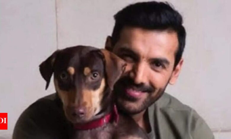 La Corte Suprema corrige la decisión del perro equivocado en Delhi; John Abraham respondió: ‘Estoy agradecido …’ | Noticias de la película hindi La Corte Suprema corrige la decisión del perro equivocado en Delhi; John Abraham respondió: ‘Estoy agradecido …’ | Noticias de la película hindi