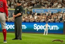 Squirrel corrió a la escena, retrasó brevemente los yankees rojas