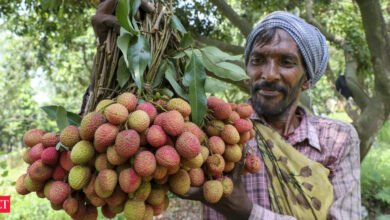 Apeeda abrió una nueva oficina en Patna, Raipur, Dehradun para apoyar a los exportadores agrícolas.