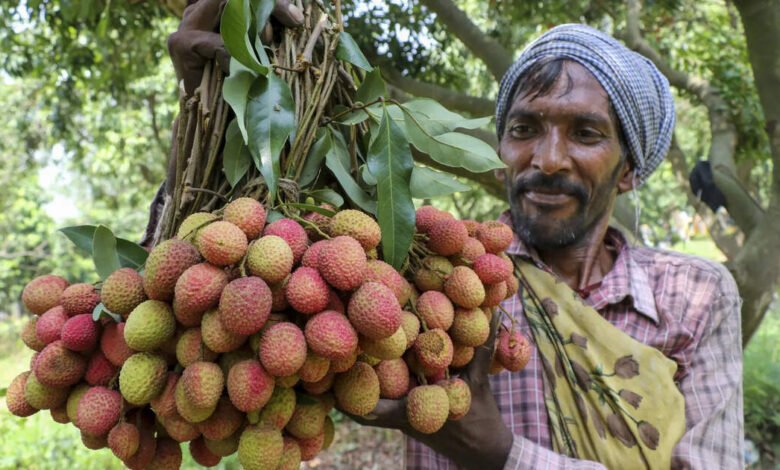 Apeeda abrió una nueva oficina en Patna, Raipur, Dehradun para apoyar a los exportadores agrícolas. Apeeda abrió una nueva oficina en Patna, Raipur, Dehradun para apoyar a los exportadores agrícolas.
