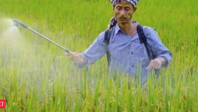 India recibirá, mientras que China ayuda a reducir el control de la urea.
