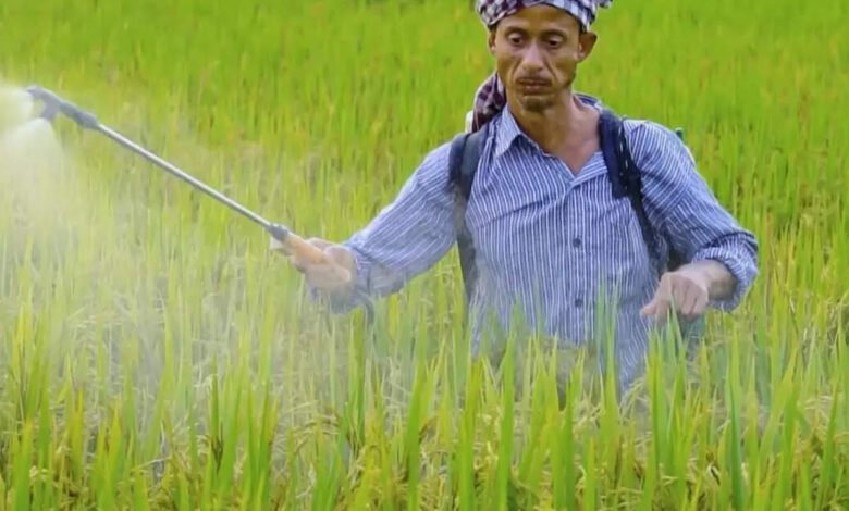 India recibirá, mientras que China ayuda a reducir el control de la urea. India recibirá, mientras que China ayuda a reducir el control de la urea.