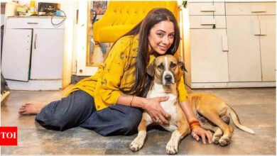 ¡Rupali Ganguly en la orden revisada de la Corte Suprema en perros callejeros! Dicho Animal Welfare es una vida para mí Hindi Movie News