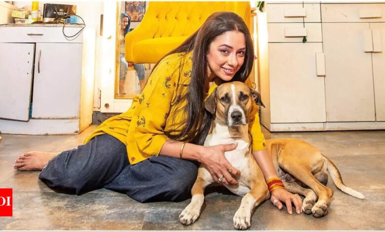 ¡Rupali Ganguly en la orden revisada de la Corte Suprema en perros callejeros! Dicho Animal Welfare es una vida para mí Hindi Movie News ¡Rupali Ganguly en la orden revisada de la Corte Suprema en perros callejeros! Dicho Animal Welfare es una vida para mí Hindi Movie News