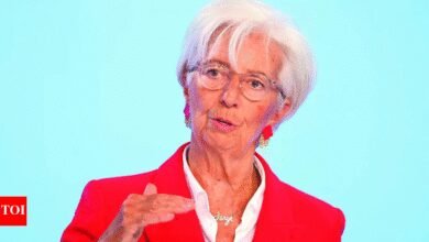 Banco Central, Discusión independiente: Lagarde del BCE advierte que la Fed Fed puede causar interrupción. Dijo que el propio gobierno del banco que “muy importante”