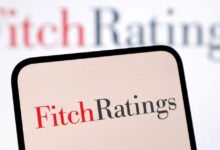 Fitch aún crió la soberanía en India durante unos días después de la actualización de S&P.