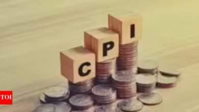 Revisión del CPI: Gobierno seguirá el precio de Amazon y Flipkart, medidor de inflación para reflejar las compras digitales.
