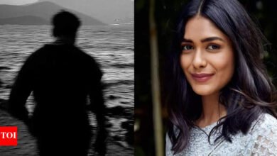 Dhanush ha compartido una nueva publicación atractiva de Instagram, la respuesta de Mrunal Tagore a Sparks, los rumores de citas continúan. Noticias de la película tamil