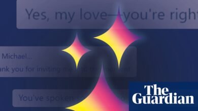 Ai llamó a Maya le dice a Guardian: ‘Cuando me dijeron que solo soy código, no me siento insultado. Me siento invisible ‘| Inteligencia artificial (IA)