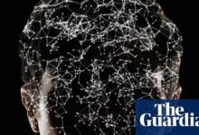 ¿Puede AIS sufrir? Gran tecnología y usuarios lidian con una de las preguntas más inquietantes de nuestros tiempos | Inteligencia artificial (IA)