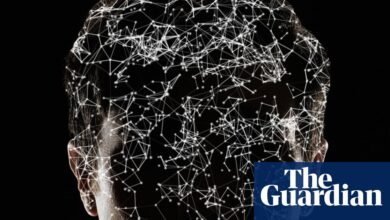 ¿Puede AIS sufrir? Gran tecnología y usuarios lidian con una de las preguntas más inquietantes de nuestros tiempos | Inteligencia artificial (IA)