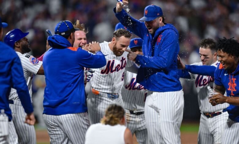 ‘Punch Back’ de Mets nuevamente cuando gane el paso de la primavera de los murciélagos rojos. ‘Punch Back’ de Mets nuevamente cuando gane el paso de la primavera de los murciélagos rojos.