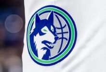 Las Panthers de NHL ejecutan para hacerse cargo de Timberwolves, CEO de Lynx