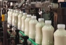 Agri, caminos de leche para que las molestemos; IP, el problema digital puede volar bajo el radar: organizaciones no gubernamentales, sindicatos, otros