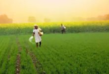 La concesión para nosotros en el Agri, el sector de productos lácteos tendrá un acoso: Foro de justicia comercial.