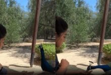 Rashmika Mandana’s Nature Retreat: un clip adorable que impulsa el pavo real; ‘Libertad’ llamadas experiencia