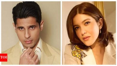 Siddhartha Malhotra sorprendió a Shanaya Kapoor en su octavo cumpleaños, Varun Dhawan evitó: “Recibí un mensaje de texto que …”.