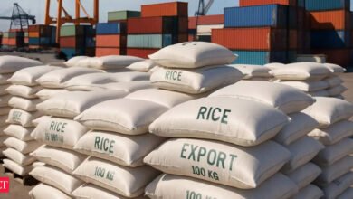 India empuja la exportación de arroz a Filipinas, el mayor importador de arroz del mundo.