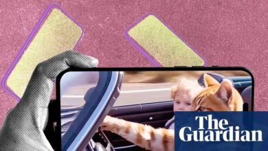 AI ha creado una nueva raza de video de gato: telenovelas adictivas, inquietantes y náuseas | Inteligencia artificial (IA)