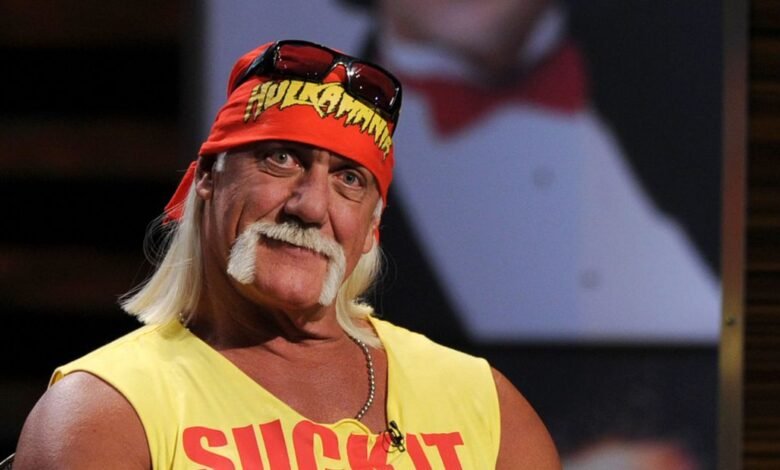 La hija de Hulk Hogan compartió la teoría de la conspiración sobre la muerte de We Star La hija de Hulk Hogan compartió la teoría de la conspiración sobre la muerte de We Star
