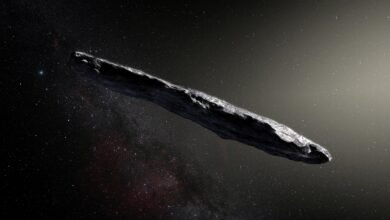 El objeto misterioso que se acerca al sol puede ser una ‘sonda alienígena hostil’, pero las afirmaciones de los expertos de la marca Harvard Prof como ‘sin sentido’