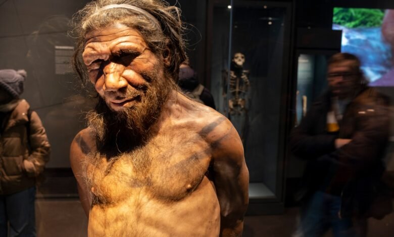 La horrible comida antigua amada por los neandertales es el sueño de una dieta, pero ¿comerías un plato repugnante? La horrible comida antigua amada por los neandertales es el sueño de una dieta, pero ¿comerías un plato repugnante?