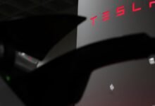 La lealtad de la marca de Tesla se derrumbó después de que Elon Musk respaldó a Trump, los datos muestran