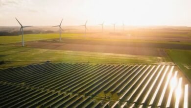La demanda de energía global supera la expansión renovable
