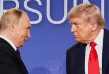 Polar Bear Waltz: Imágenes falsas de Trump-Putin ai Subragando Ucrania