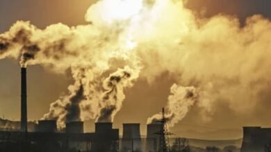 ¿Se usa o no el impuesto al carbono? – OilPrice.com