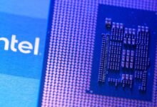 El asesor de Trump dice que los Estados Unidos pueden participar en otras empresas después de Intel