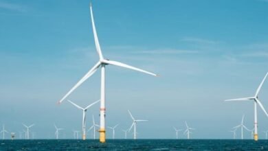 Las existencias Ørsed disminuyeron después de que el Proyecto de Viento costero de EE. UU. Se detuvo.