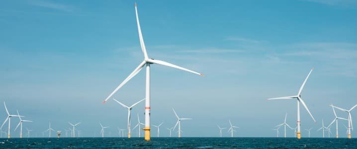Las existencias Ørsed disminuyeron después de que el Proyecto de Viento costero de EE. UU. Se detuvo. Las existencias Ørsed disminuyeron después de que el Proyecto de Viento costero de EE. UU. Se detuvo.