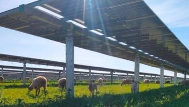 China establece registros de energía limpia, mientras apoya el carbón