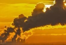 Contaminación del aire de combustibles fósiles vinculados a 91,000 muertes en los Estados Unidos cada año