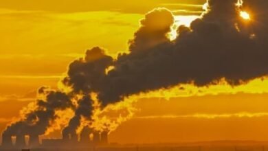 Contaminación del aire de combustibles fósiles vinculados a 91,000 muertes en los Estados Unidos cada año