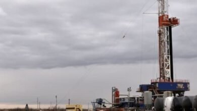 Los productos de petróleo estadounidense ganaron estimaciones semanales en junio.