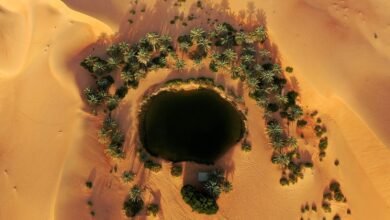 El sueño de la inteligencia artificial en el Golfo se enfrenta a billones de dólares una crisis de agua